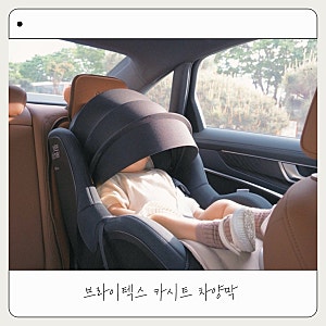 브라이텍스 카시트 차양막 | 순성 선쉐이드 내돈내산 후기