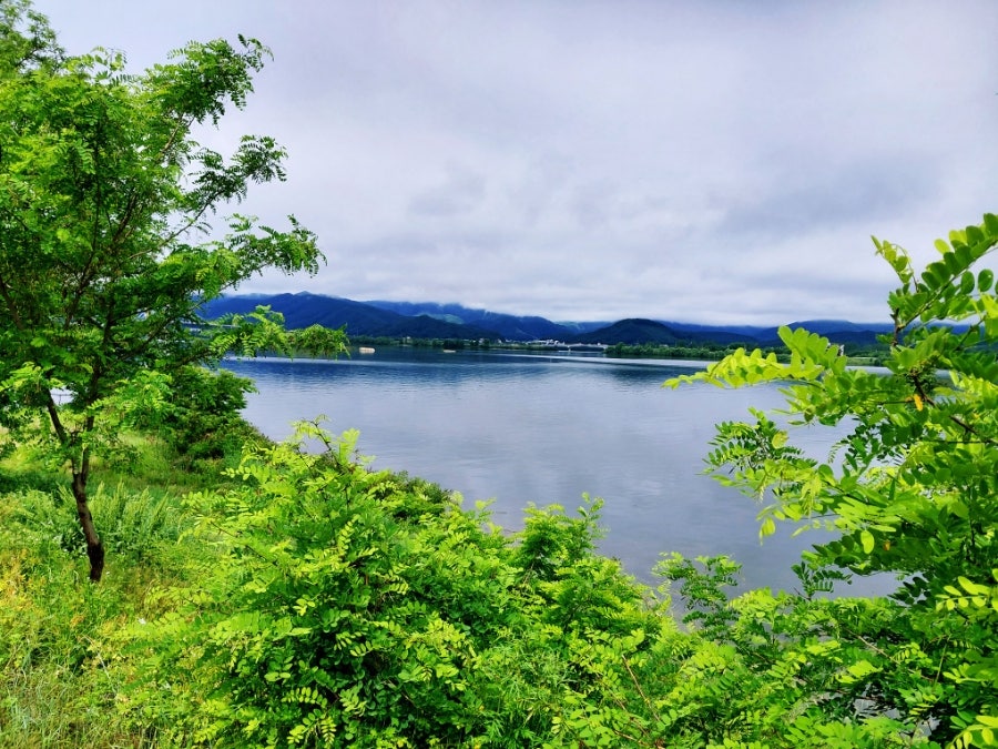 Mancheondaseulgihaejangguk photo 3