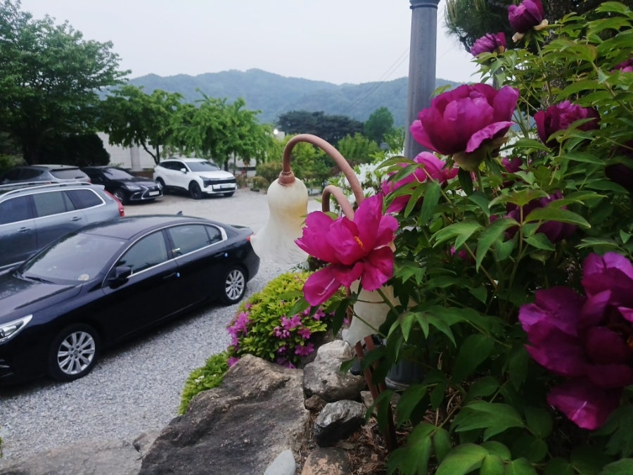 레이크하우스 사진 5