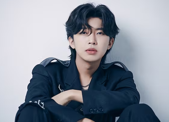 임영웅 스타디움 콘서트 일정 예매방법 영웅시대 근황 총정리
