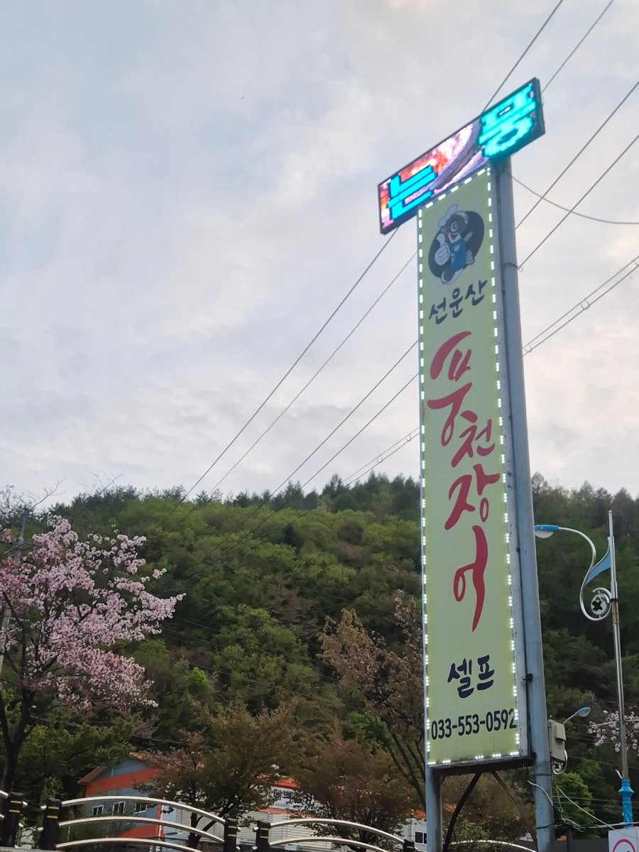 선운산풍천장어 사진 1