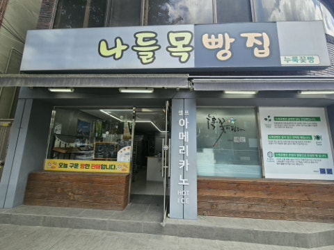 누룩꽃이 핀다 사진