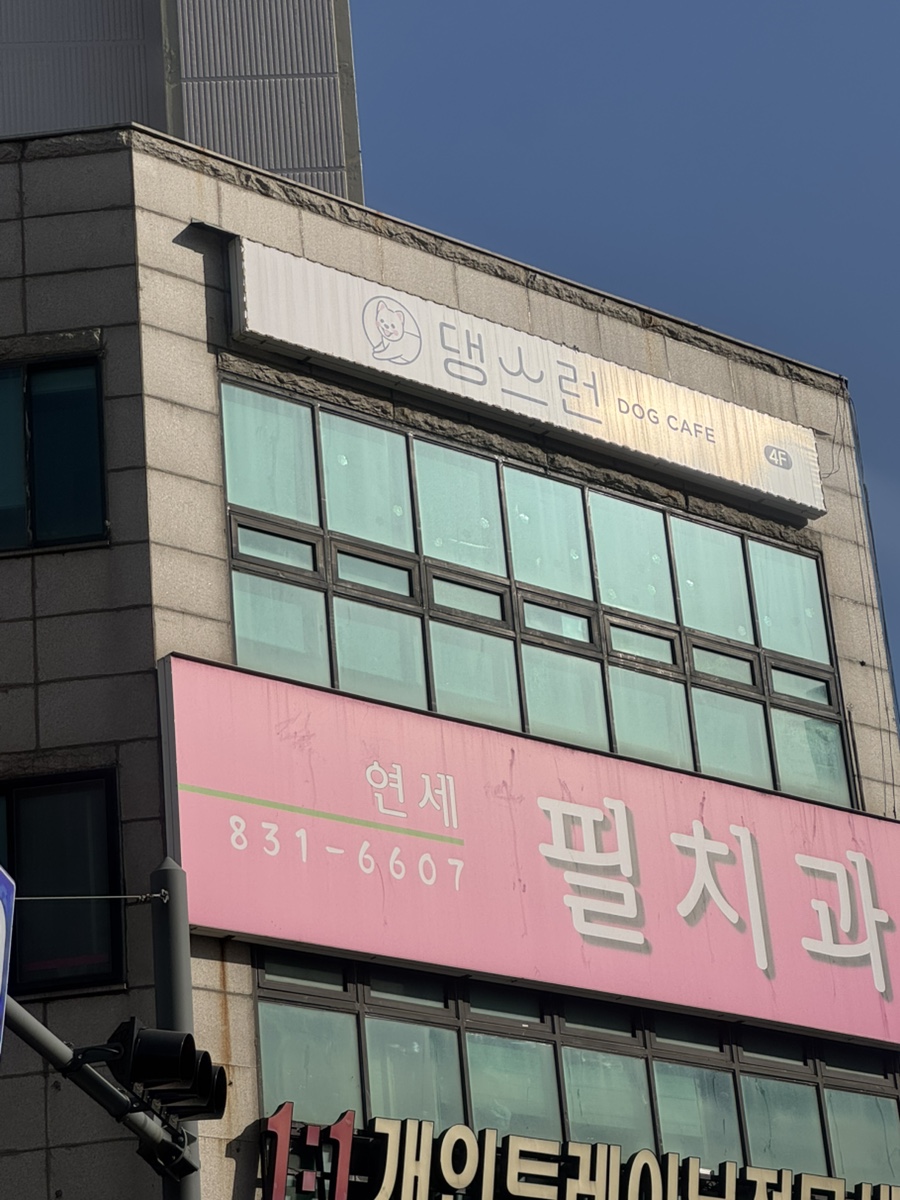 댕스런 사진 1