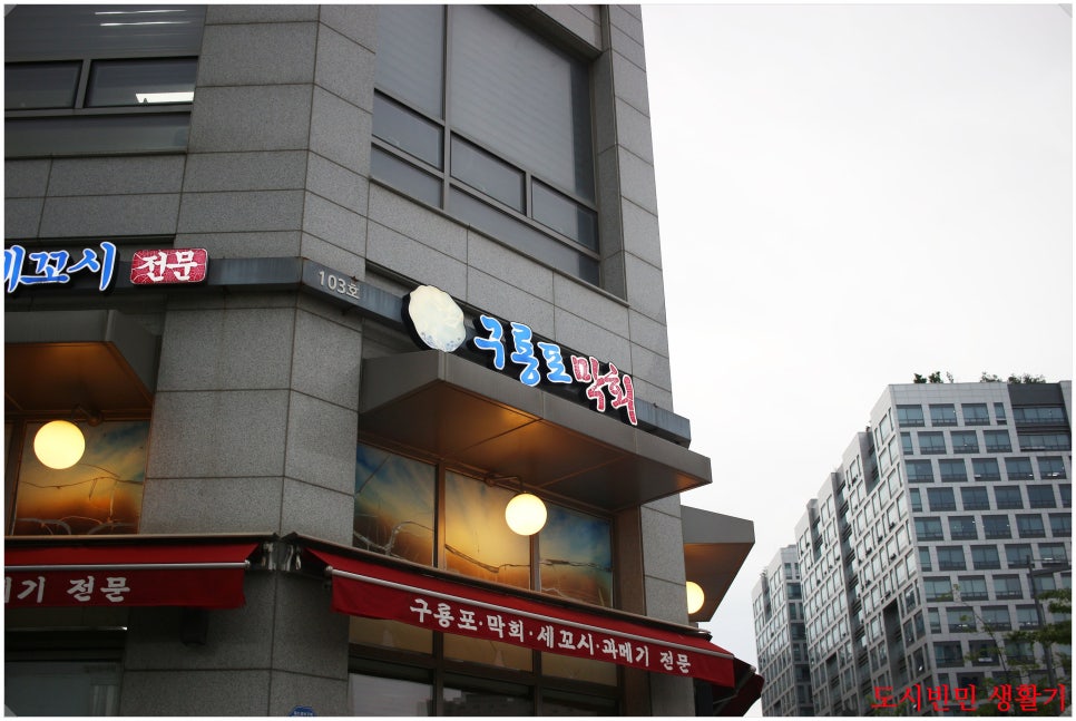 구룡포막회 사진 1