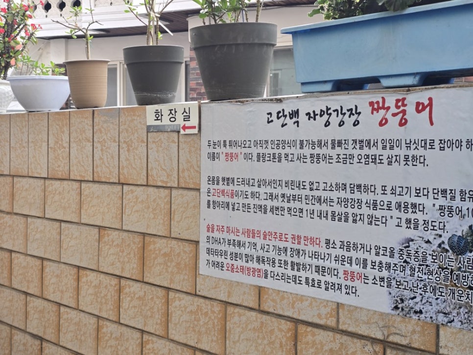 옛날그집 사진 4