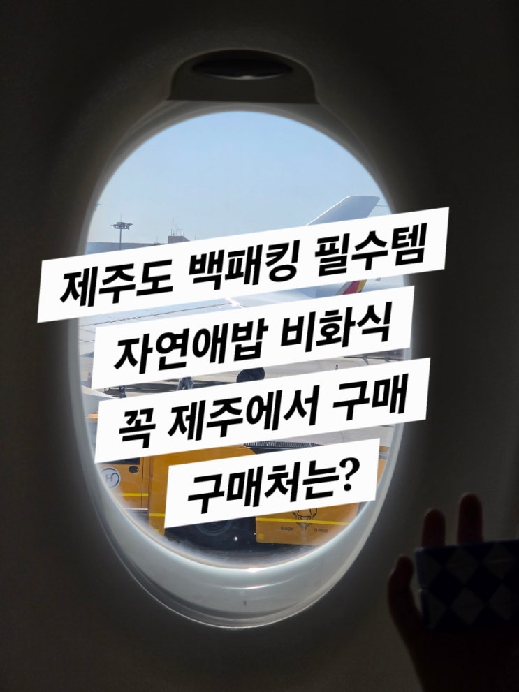  제주 1일차 (비화식구매 장소, 또똣 고기국수집)