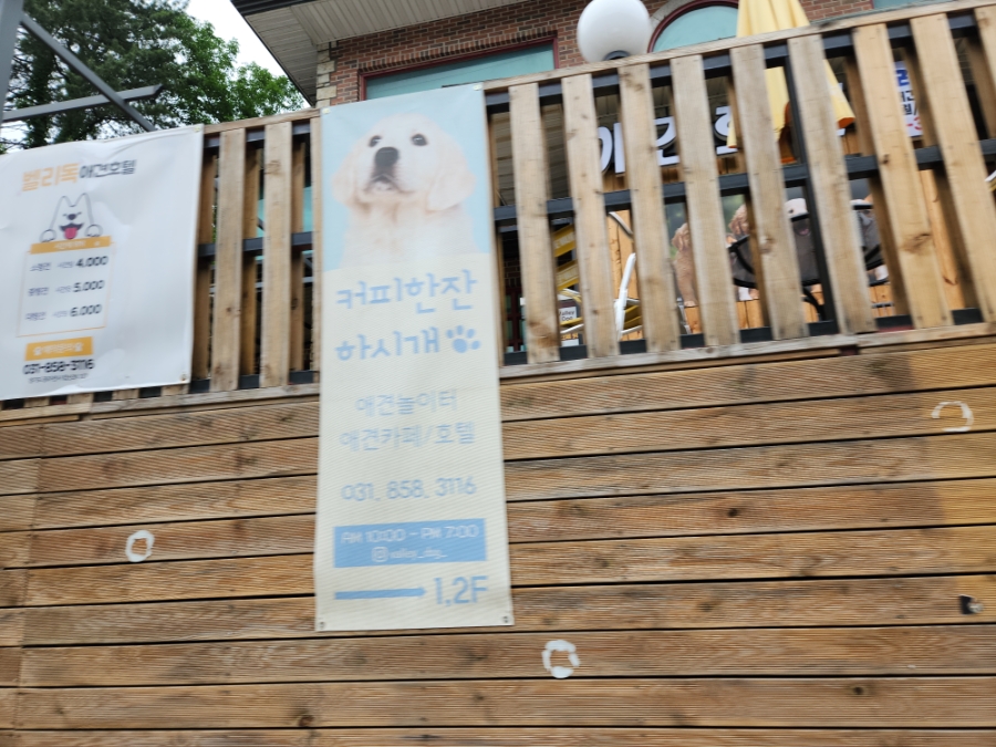 벨리독 사진 5