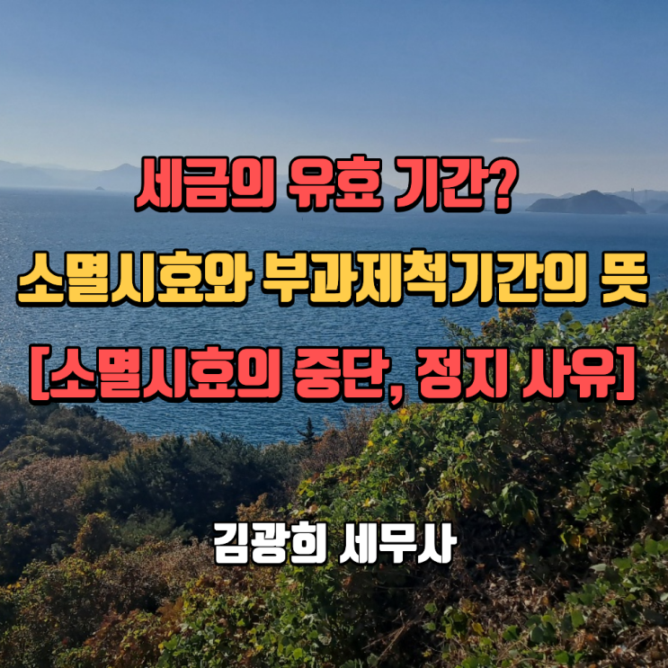  세금의 유효 기간, 국세 소멸시효와 부과제척기간의 뜻[소멸시효의 중단, 정지 사유]