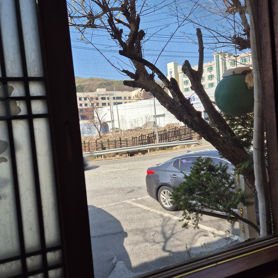 박터졌네 사진 5