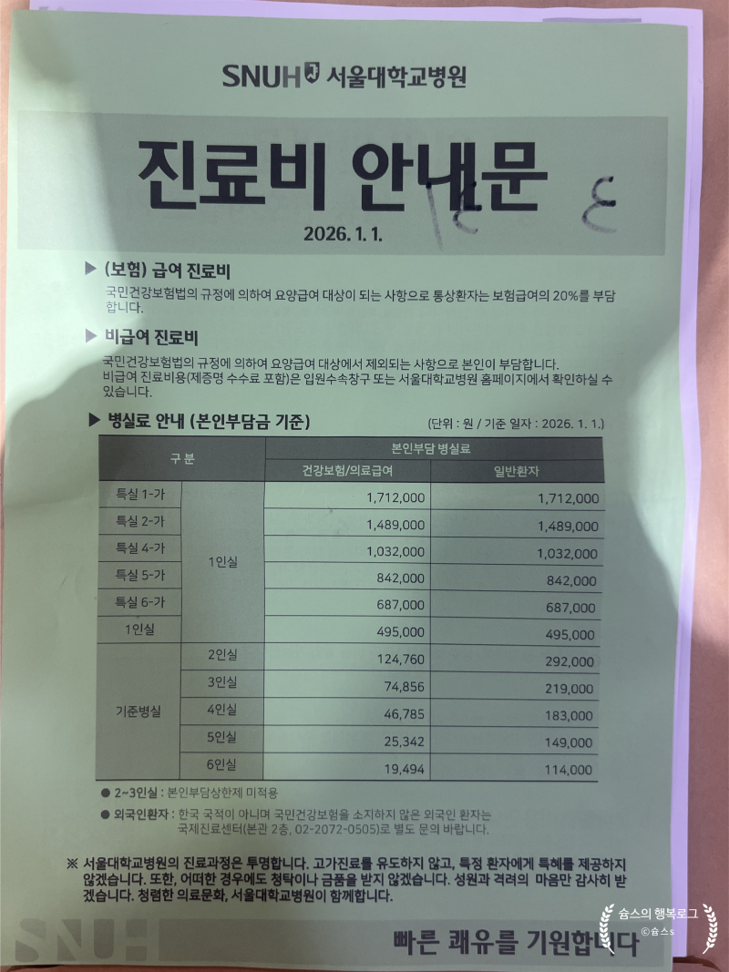 [출산] 제왕절개 후 서울대병원 2인실 후기, 주차 팁(+출생증명서 체크사항):)