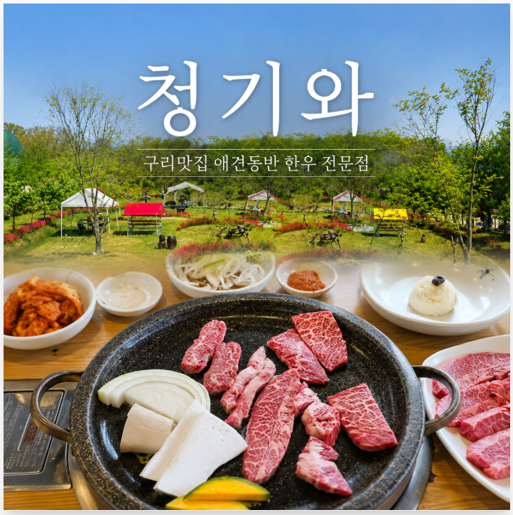 청기와 사진 2