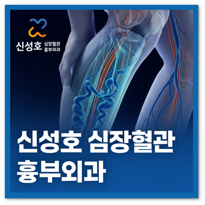 하지정맥류 혈관외과 명의 찾는 분들께 드리는 편지