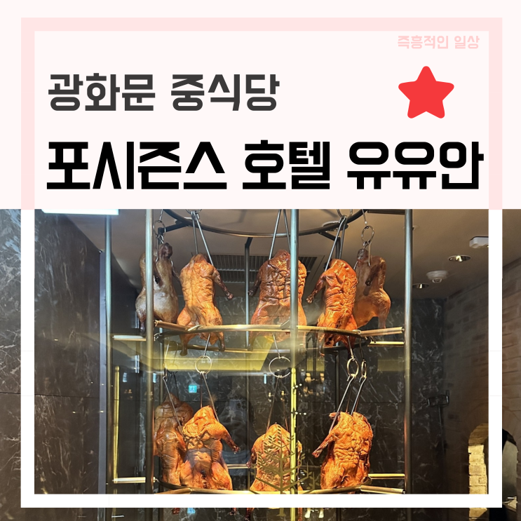  포시즌스 유유안 YUYUAN, 서울 광화문 중식 맛집 기념일 접대 가족 모임 추천