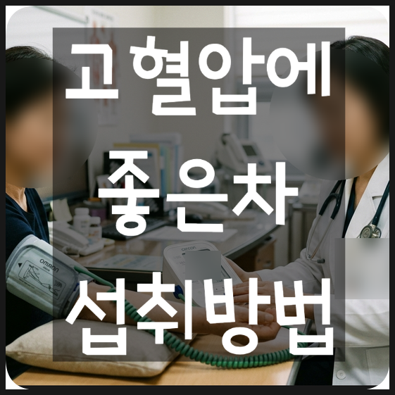 고혈압에 좋은 차 종류와 마시는방법