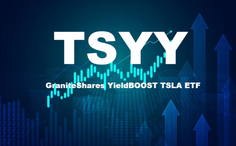테슬라 ETF 'TSYY ETF' 3달러 무너지나… 월배당 91% 진실과 함정 5가지