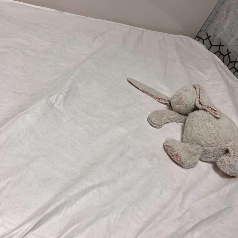 집먼지진드기 차단 위드휴 듀폰타이벡 매트리스방수커버