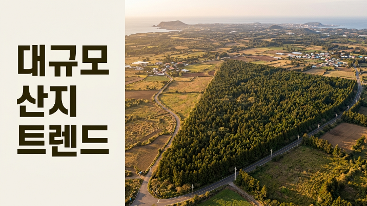 제주시 한경면 판포리 임야 매매"생산관리지역 30,771 대형 임야,
