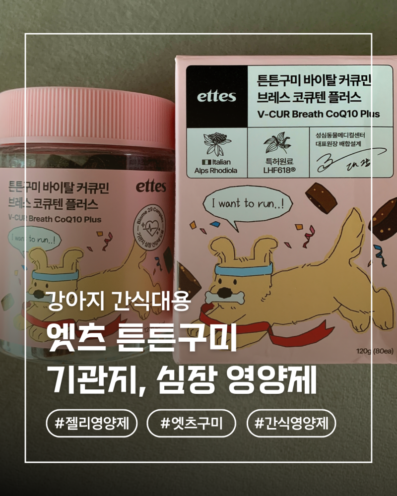 (내돈내산) 강아지 영양제 추천 엣츠 튼튼구미 기관지 심장 영양제 바이탈 커큐민 어쩌고
