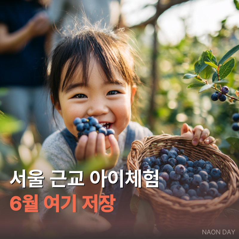 블루베리·반딧불이·도자기까지 | 6월 서울근교 아이랑 체험 완전 정리