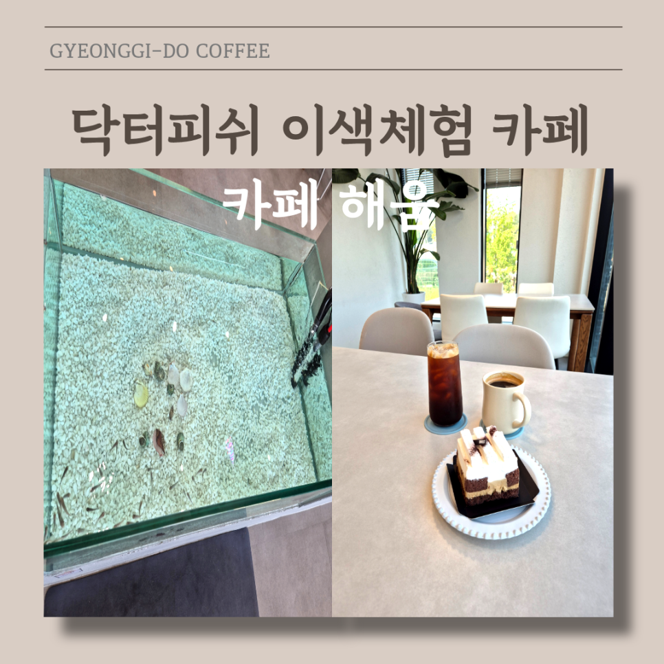 카페 해움 사진 2