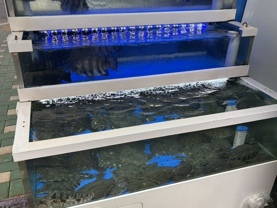 세꼬시회 사진 2