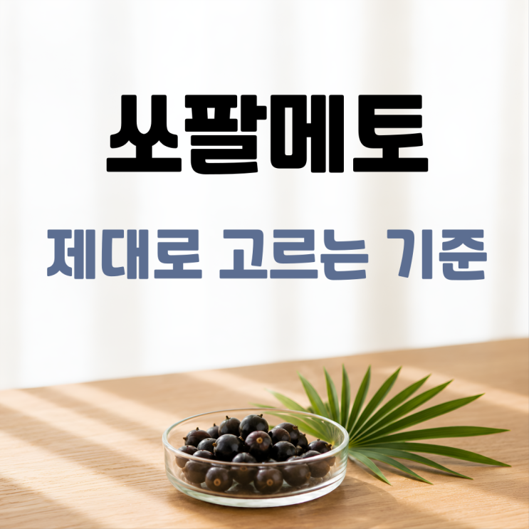  쏘팔메토 효능 성분 함량 제품별 비교 고르는법 총정리