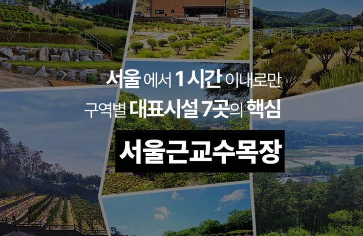  장례를 준비한다면, 서울근교수목장 비교해보세요