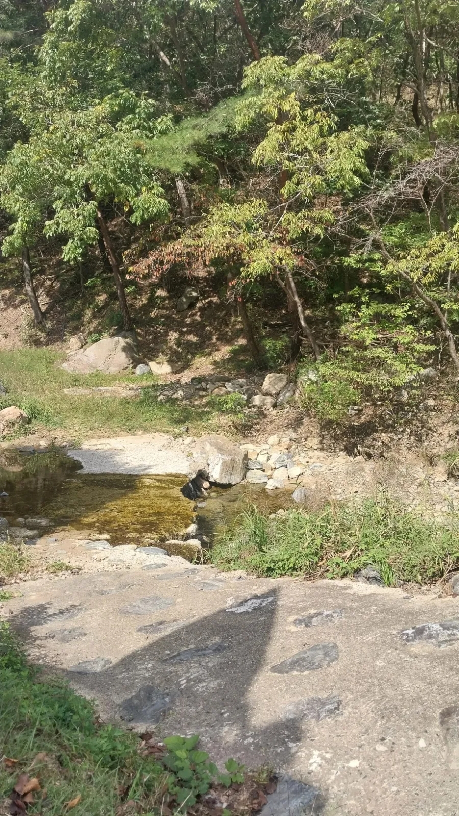 피플 사진 2