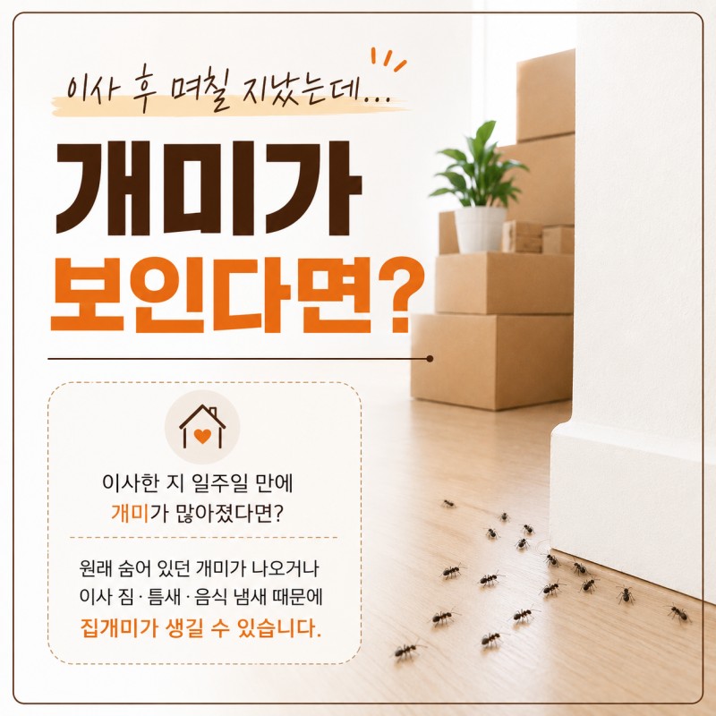 이사 후 갑자기 개미가 보인다면? 집에 개미가 생기는 이유와 개미 없애는 방법