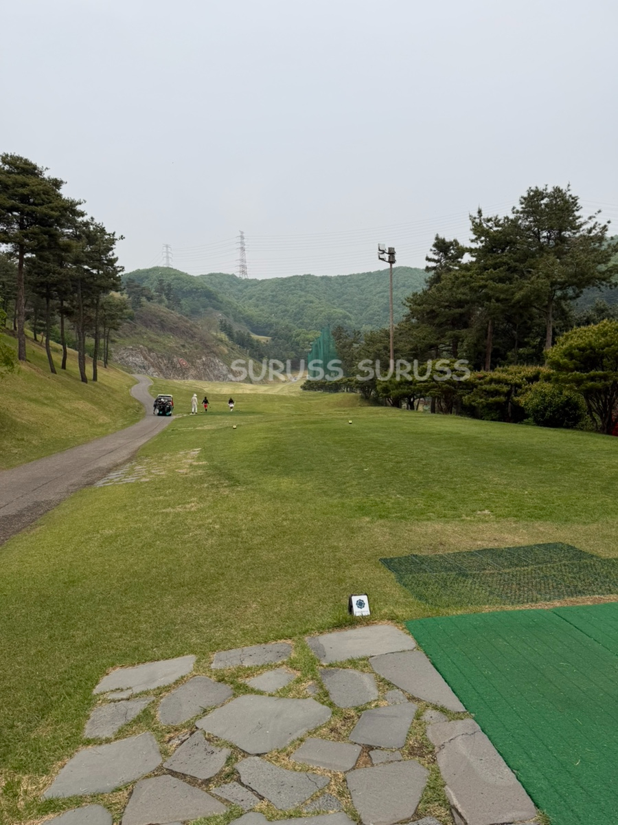 동해왕순두부 사진 2