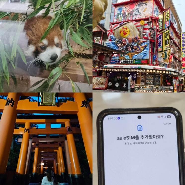  일본 eSIM 추천 유심스토어 데이터 무제한 사용 3박4일자유여행