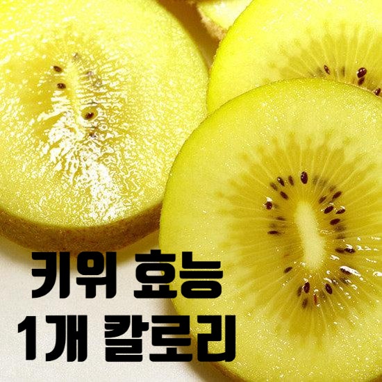 골드키위 vs 그린키위 효능 칼로리 총정리