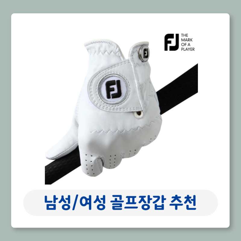 골프장갑 추천 여성용 남성용 사이즈 팁 양피 반양피 합피 할인