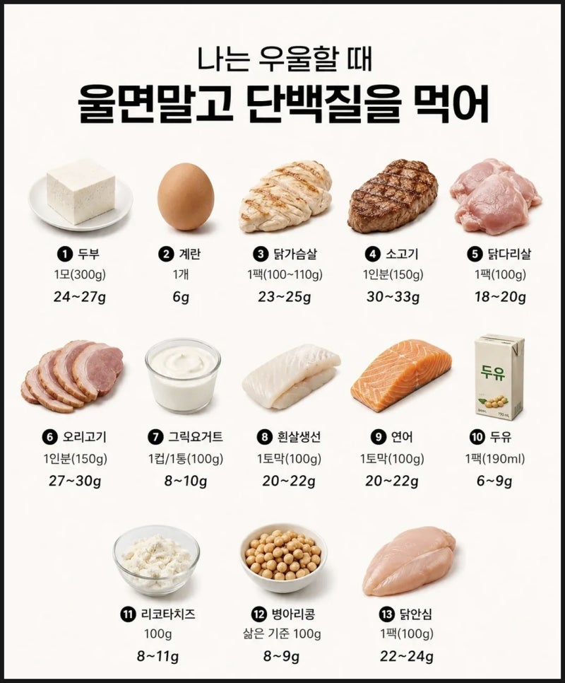 음식 단백질양_식품 영어이름
