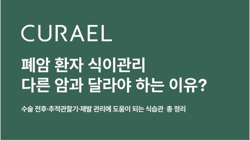 폐암에 좋은 음식 | 수술 전후·항암 중 식단 총 정리