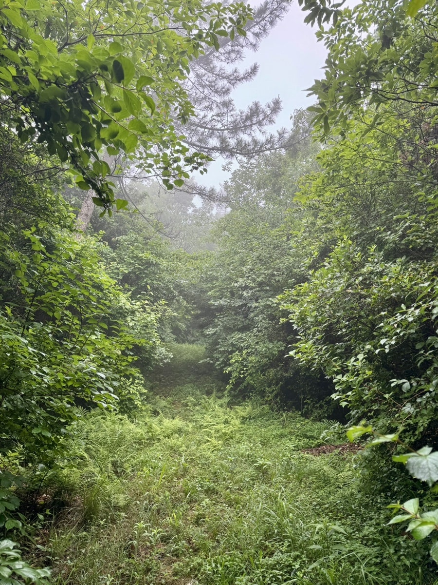 한복산 사진 6
