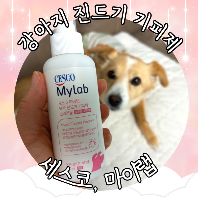 강아지 진드기 기피제, 설쌤 추천, 해충방지 세스코마이랩 내돈내산