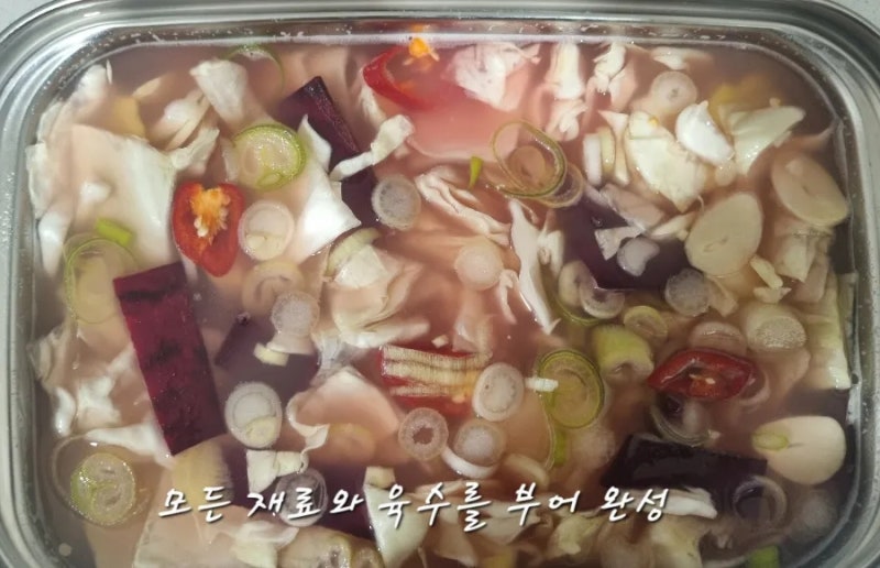 양배추 비트 물김치 만들기