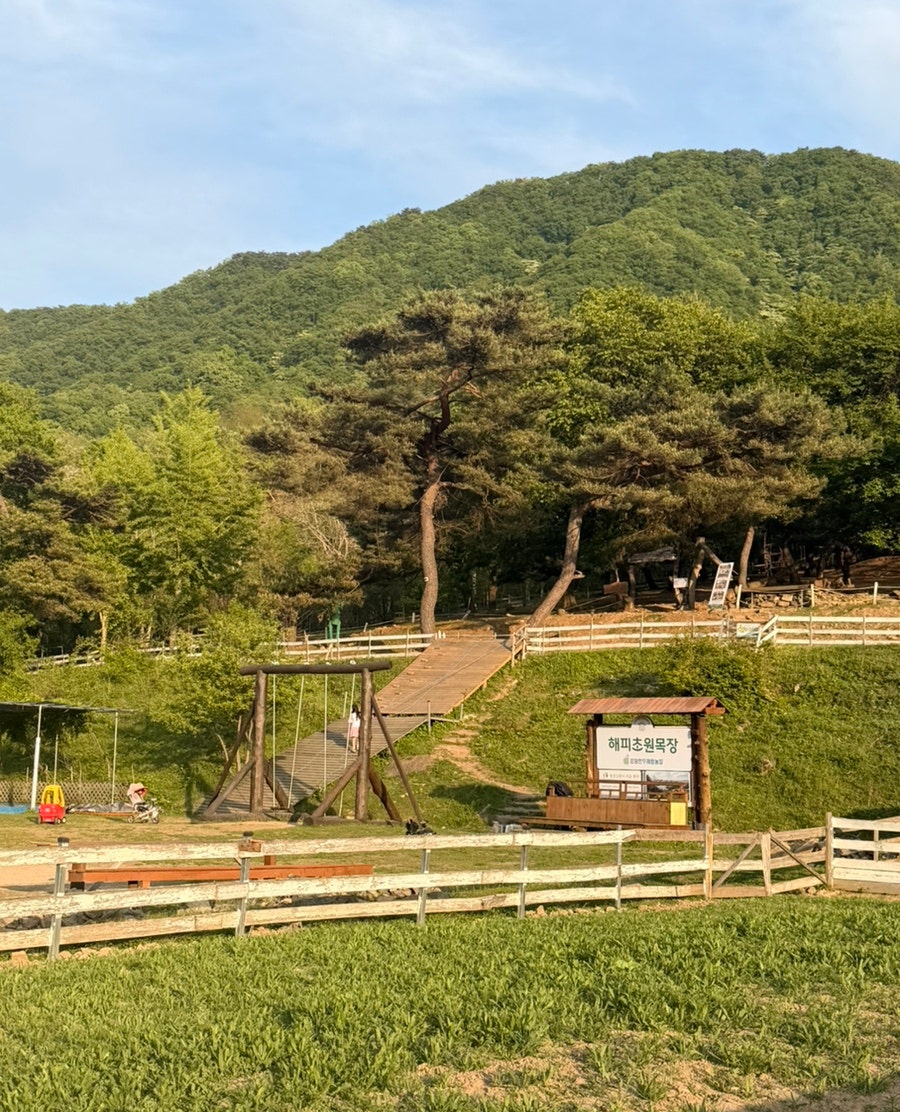 괴이산 사진 5