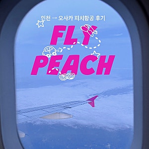 피치항공 후기 MM716(A320) 인천 → 오사카 간사이 (기내식 / 공항 터미널 / 수화물 규정 / 지연 / ....