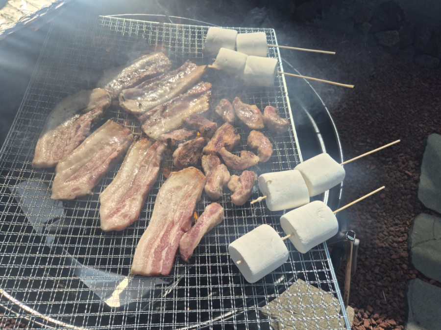 우도흑돼지 사진 5