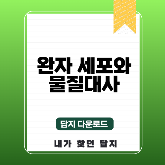 (2027) 완자 세포와 물질대사 답지 PDF 정답 다운로드
