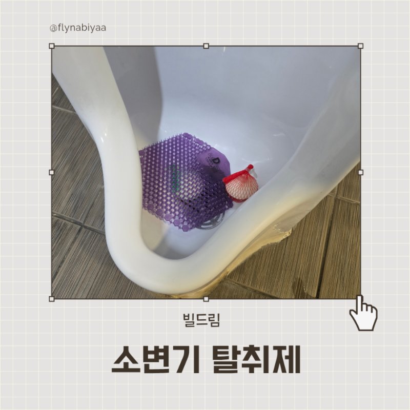 빌드림 박테리아 소변기 탈취제 소변기 냄새제거 소변기 요석제거