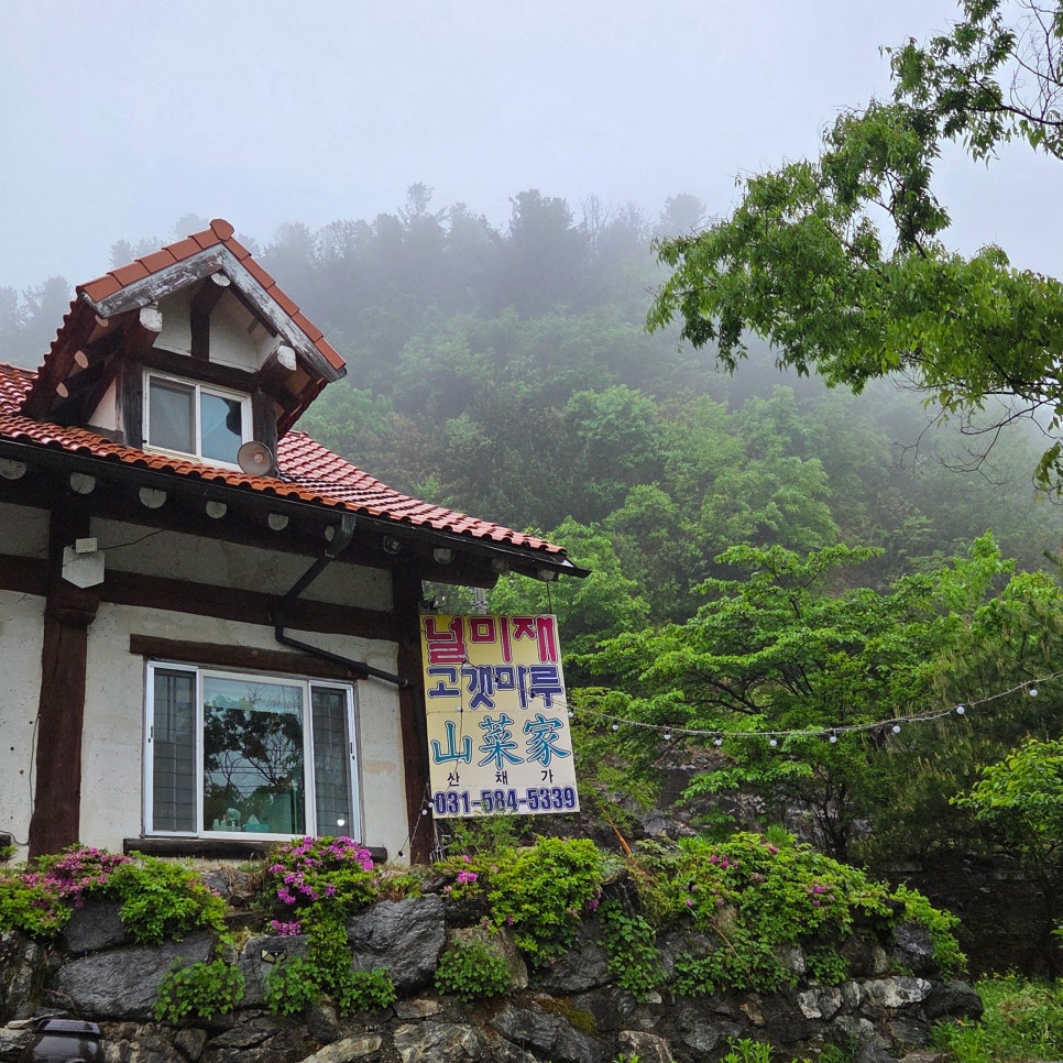 널미재고갯마루산채가 사진 4