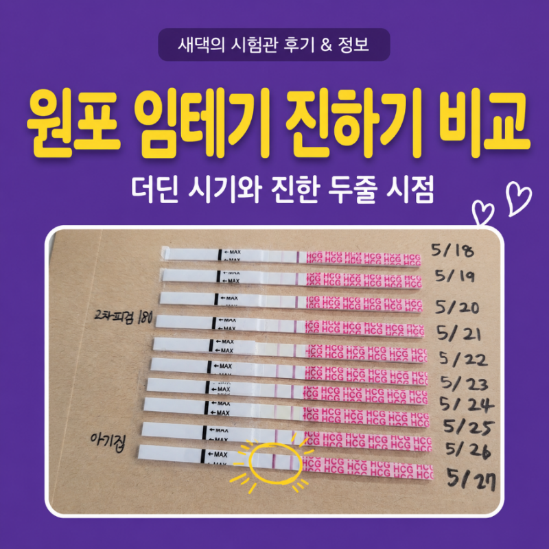 임신 4주차 원포 임테기 진하기 비교 (더딤 시기 & 진한두줄 몇주?)