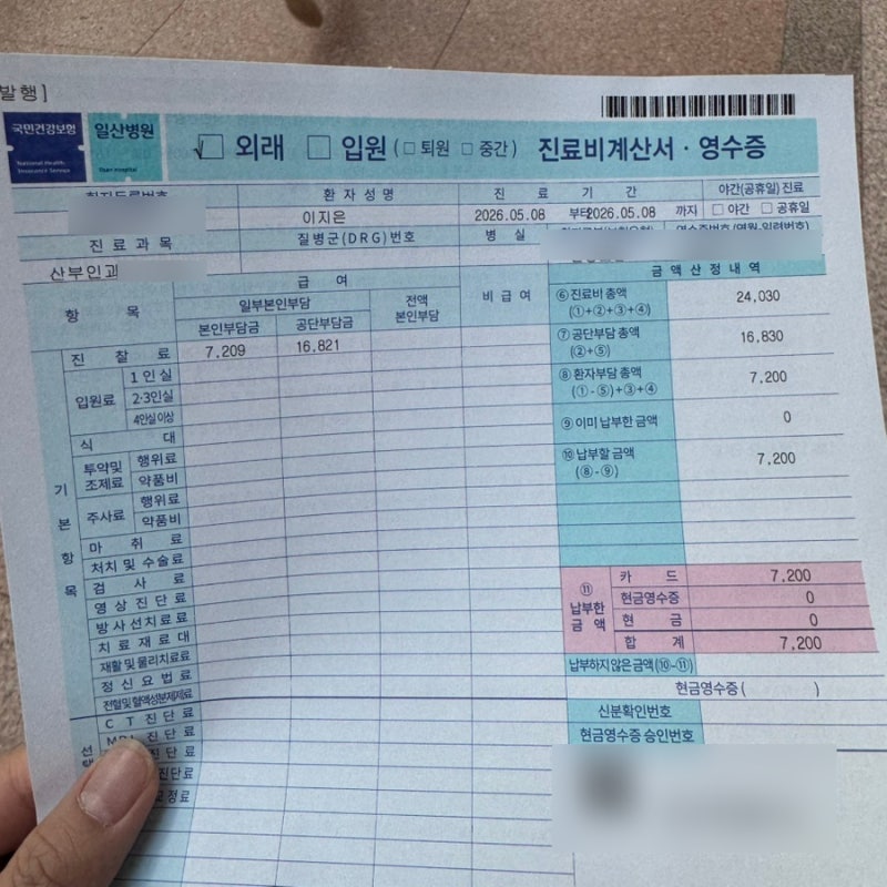 [임신일기] 12주 2일 니프티검사 후기, 국민건강보험공단 일산병원 비용 및 과정