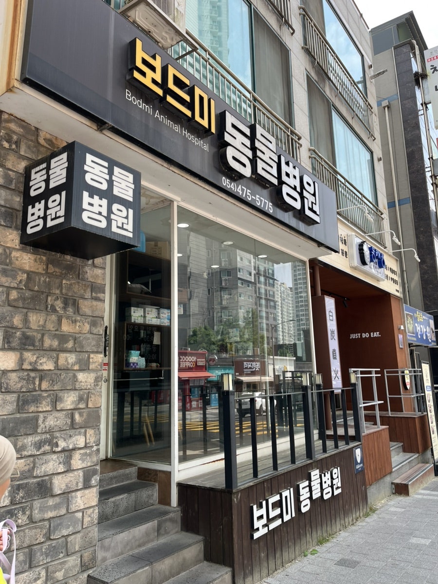 보드미동물병원 사진 2