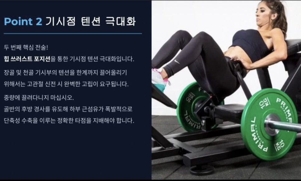 공주핏 사진 5