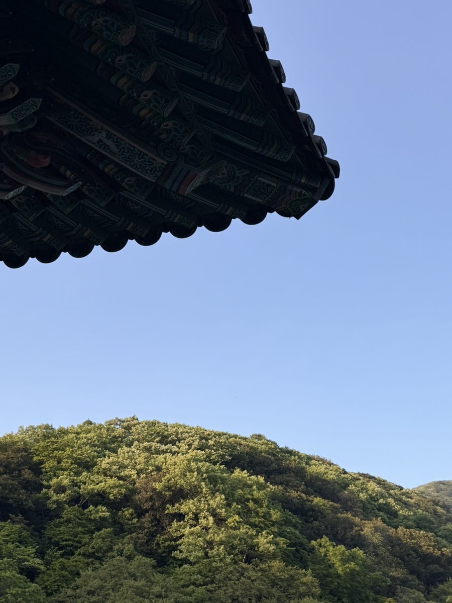소망식당 사진 3