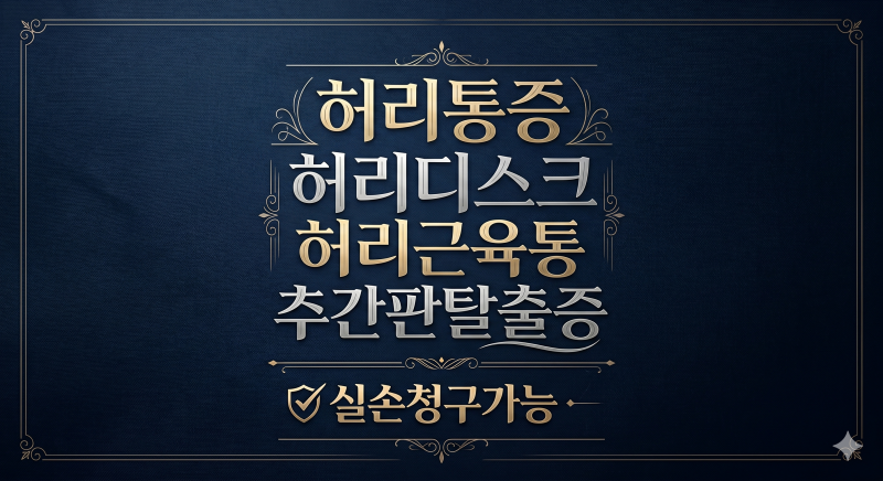 허리통증 허리디스크 허리근육통 추간판탈출증 실손청구가능 전문가상의!
